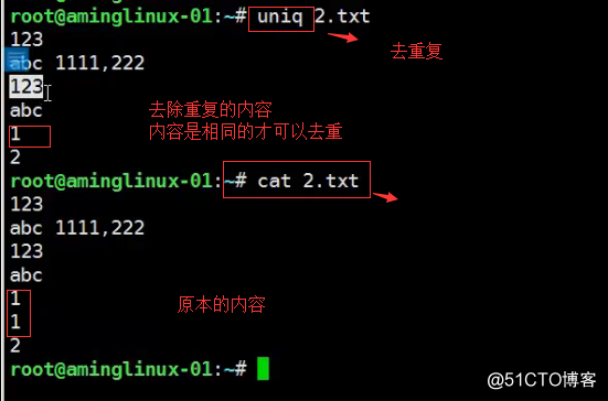 五周第五次课 8.10 shell特殊符号cut命令 8.11 sort_wc_uniq命令 8.1