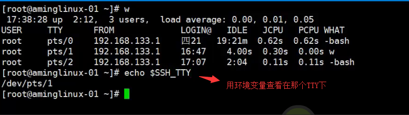 五周第四次课 8.6 管道符和作业控制 8.7/8.8 shell变量 8.9 环境变量配置文件