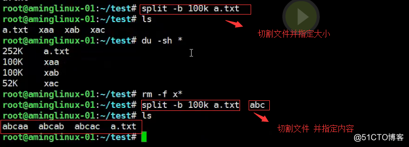 五周第五次課 8.10 shell特殊符號cut命令 8.11 sort_wc_uniq命令 8.1
