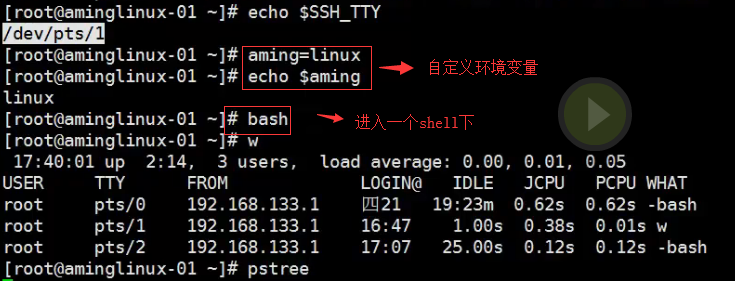 五周第四次课 8.6 管道符和作业控制 8.7/8.8 shell变量 8.9 环境变量配置文件