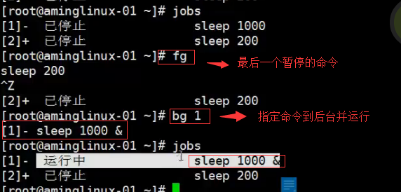 五周第四次课 8.6 管道符和作业控制 8.7/8.8 shell变量 8.9 环境变量配置文件