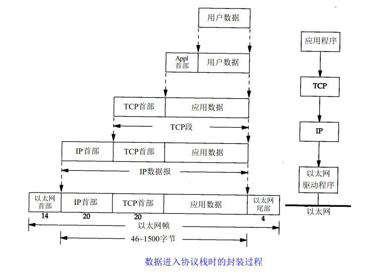 网络的参考模型