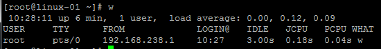 使用w查看系统负载