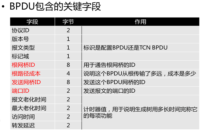 进阶-STP生成树协议