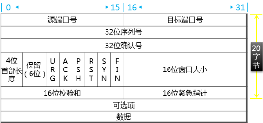 传输层协议、应用层协议