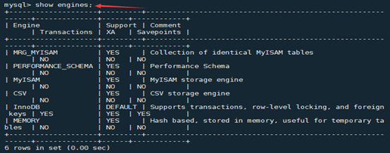 MySQL增删改查--之查