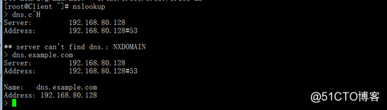 Linux服务配置之BIND域名服务器