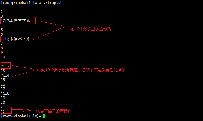 shell 编程进阶与自动化脚本expect的运用