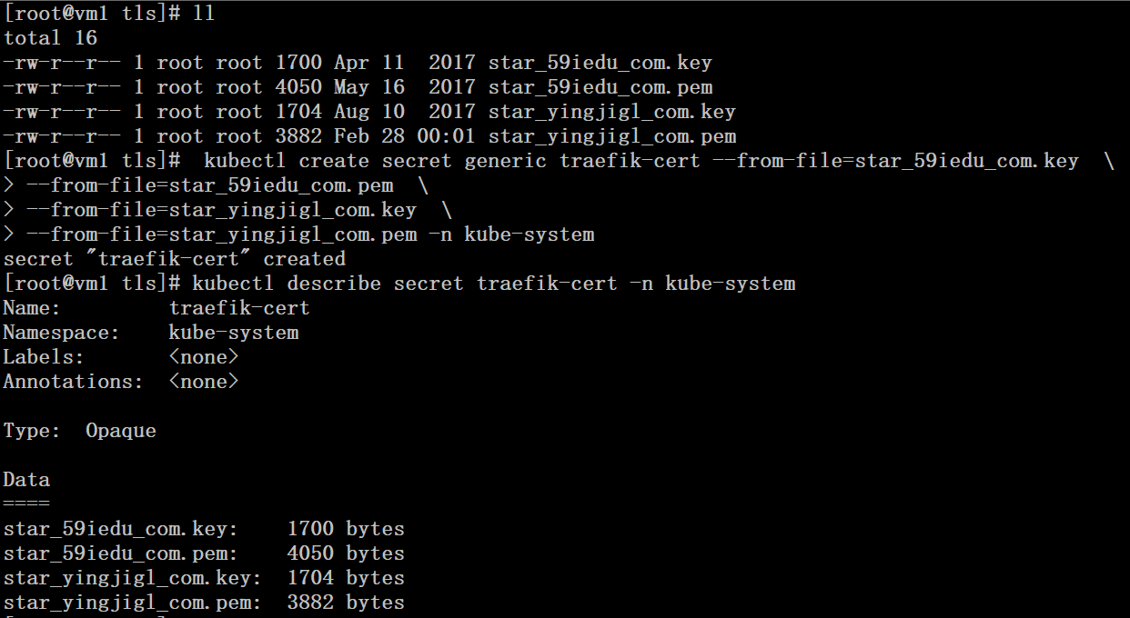 K8S集群Ingress https实践