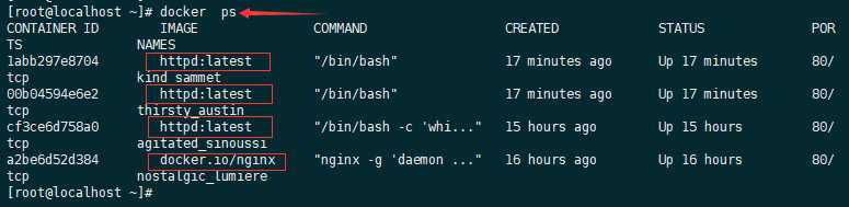 Docker基础命令使用