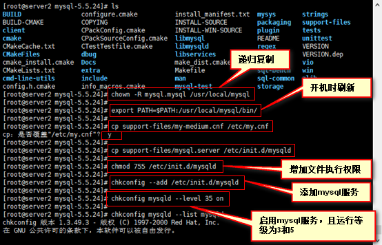 安装mysql