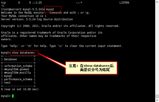 安装mysql