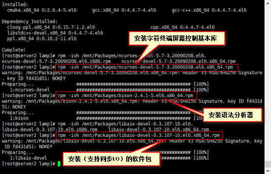 安装mysql