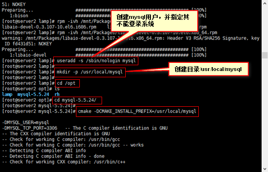 安装mysql