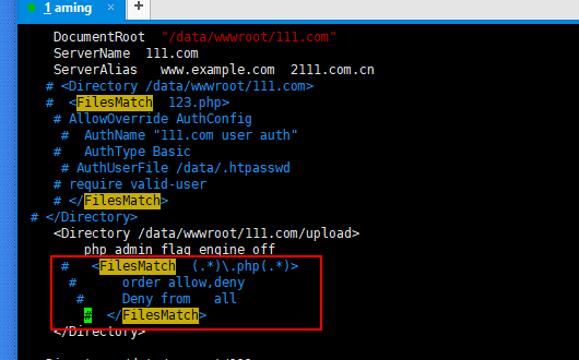 11.28 限定某个目录禁止解析php 11.29 限制user_agent 11.30/11.31