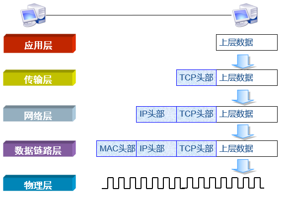 计算机网络参考模型