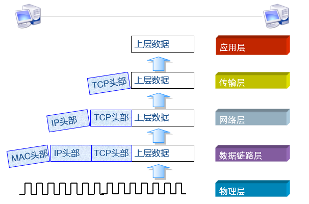 计算机网络参考模型