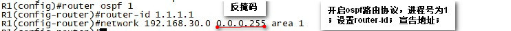 OSPF高级设置实现全网互通