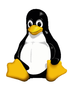 Linux入门