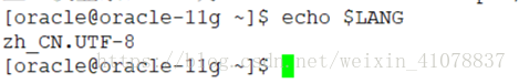 Linux/Centos解决安装oracle11g中文乱码的问题