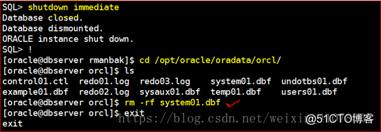 Oracle 11g R2 Rman、数据泵、闪回备份与恢复