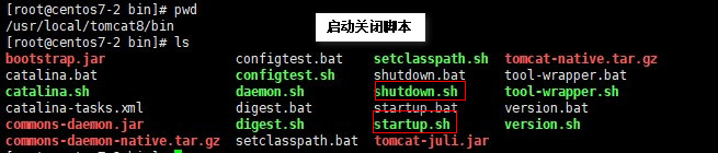 Nginx+Tomcat负载均衡集群