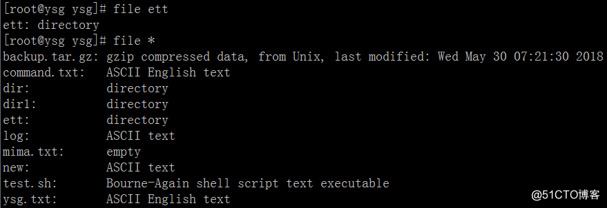Linux常用命令——file