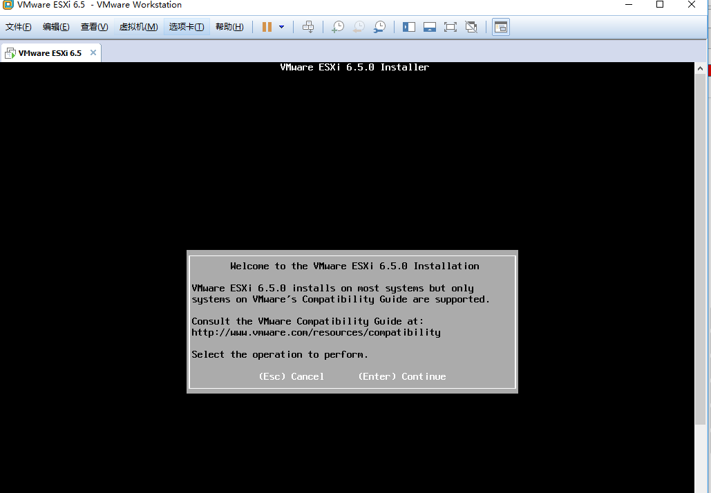 最详细安装Esxi 6.5