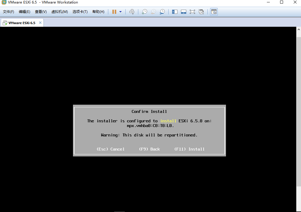 最详细安装Esxi 6.5