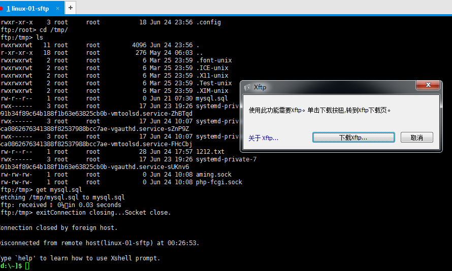 exportfs命令 NFS客户端问题 FTP介绍 使用vsftpd搭建ftp