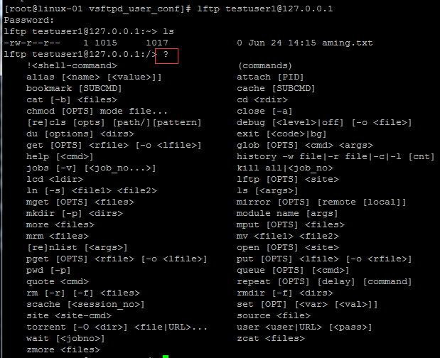 exportfs命令 NFS客户端问题 FTP介绍 使用vsftpd搭建ftp