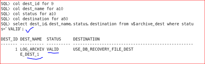 Oracle 11g R2 管理归档日志文件