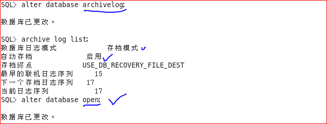 Oracle 11g R2 管理归档日志文件