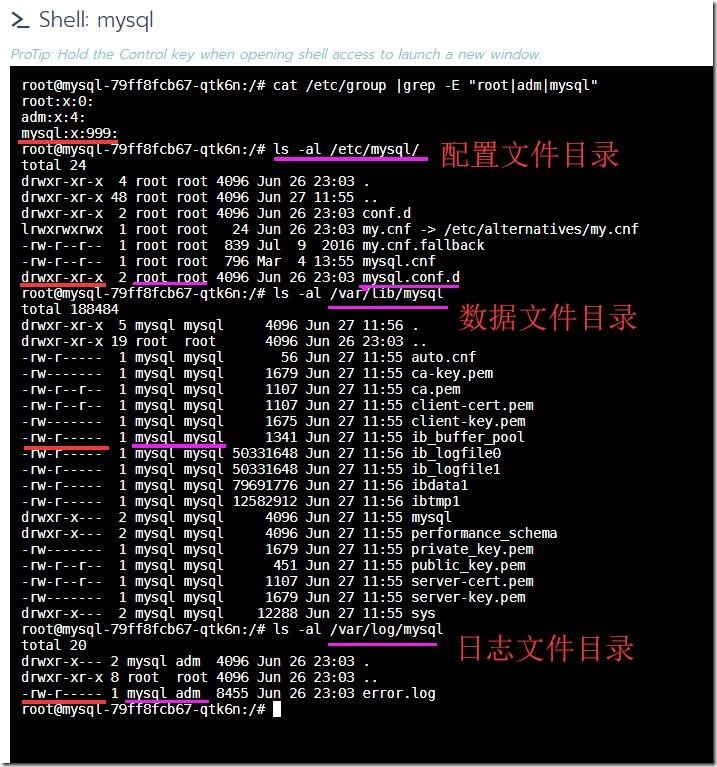 MySQL容器目录权限及所有者