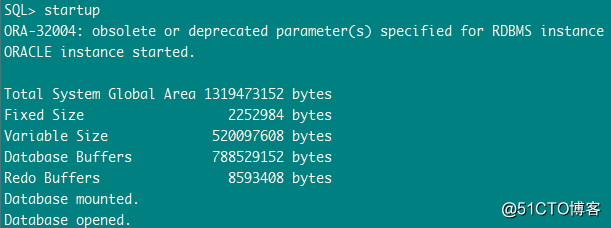 ORA-32004: obsolete or deprecated parameter(s) spe
