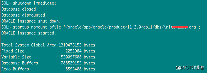 ORA-32004: obsolete or deprecated parameter(s) spe