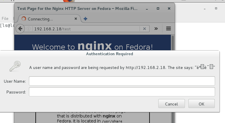 linux-nginx-2