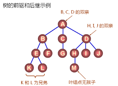 数据结构（12）_树的概念及通用树的实现