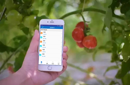 智能温室监测系统解决方案