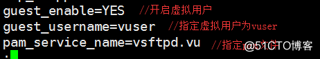 Vsftpd文件传输服务（虚拟账户模访问）