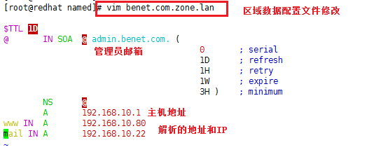 Linux上配置DNS分离解析