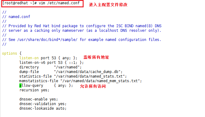 Linux上配置DNS分离解析