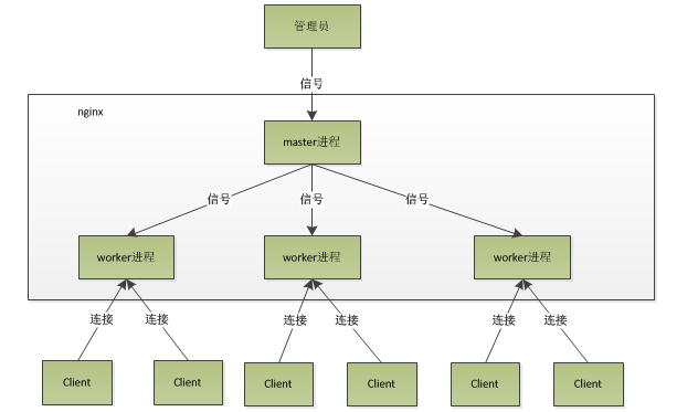 Nginx 启动原理与模型