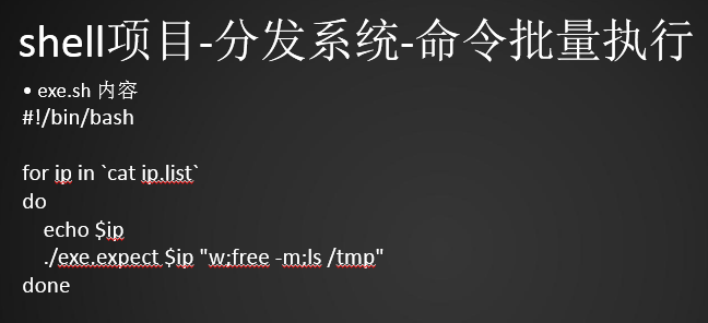 expect脚本同步文件 expect脚本指定host和要同步的文件 构建文件分发系统 批量远程执行