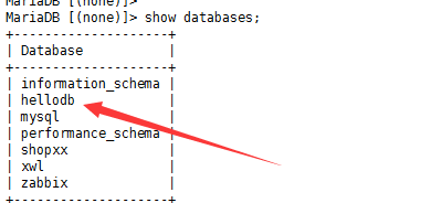 MySQL/MariaDB基础