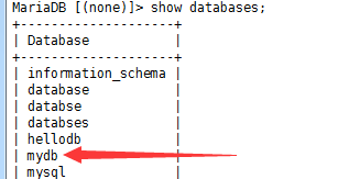 MySQL/MariaDB基础