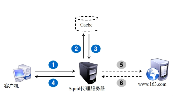 Squid代理--经典缓存代理服务器（实现正向代理配置、ACL各种访问控制、日志分析）