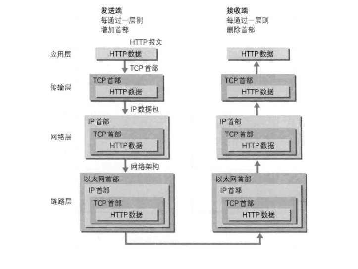 网络模型