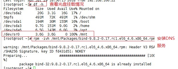 DNS   正向解析