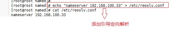 DNS   正向解析